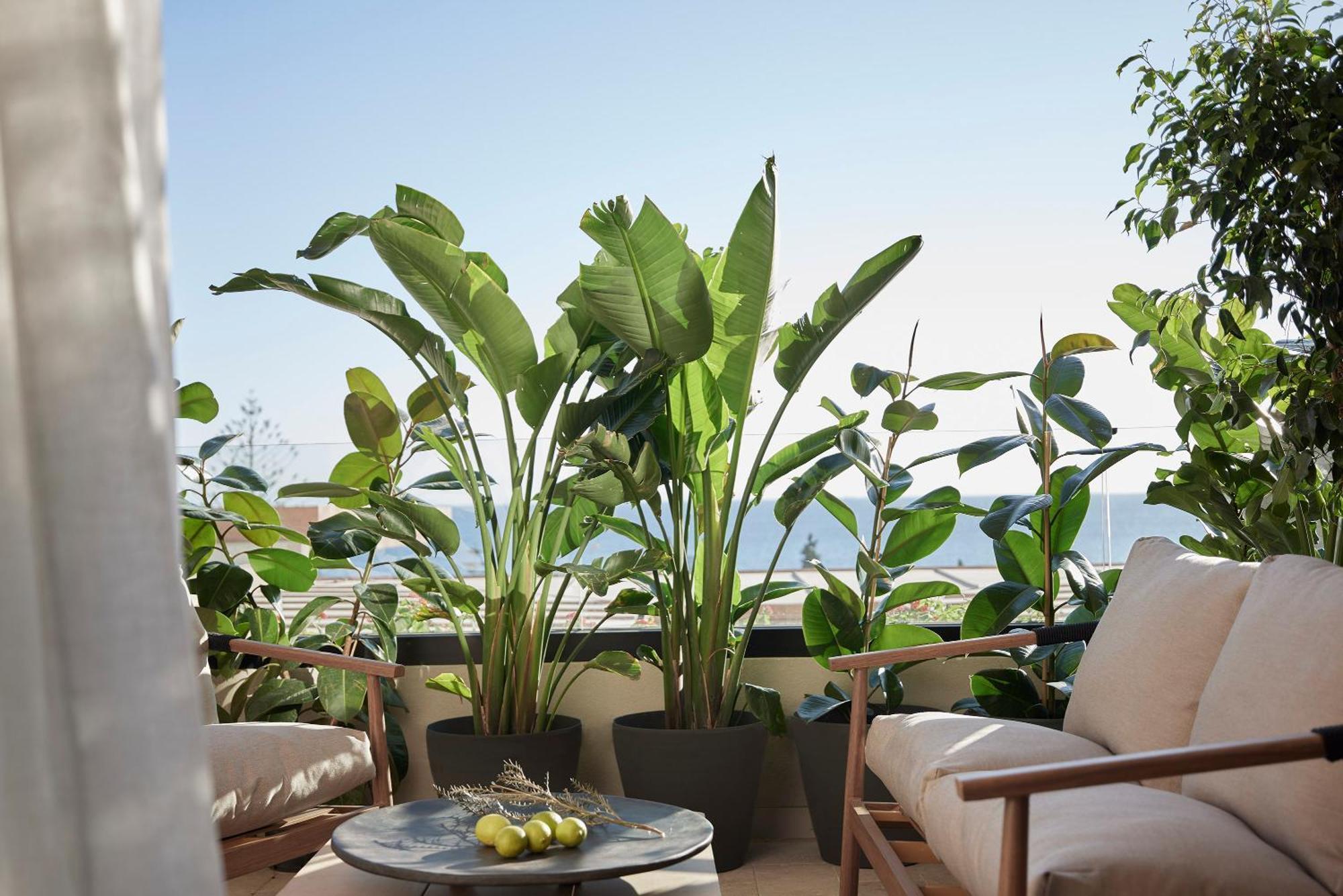 Helea Lifestyle Beach Resort Каллифея Экстерьер фото A balcony garden